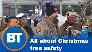 All about tree safety with the Toronto Firefighters