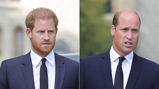 Lip Reader Reveals William And Harry's Funeral Conversation