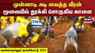 முன்னாடி அடி வைத்த வீரன் - மூலையில் தூக்கி சொருகிய காளை | Alanganallur Jallikattu 2024