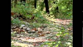 Pacolet River Heritage Preserve Field Trip