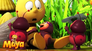 The Cute Little Bugs Think Willy Is Their Mom! - Maya the bee🍯🐝🍯