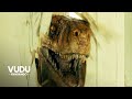 Jurassic World Dominion Movie Clip - An Atrociraptor Attacks Claire (2022) | Vudu