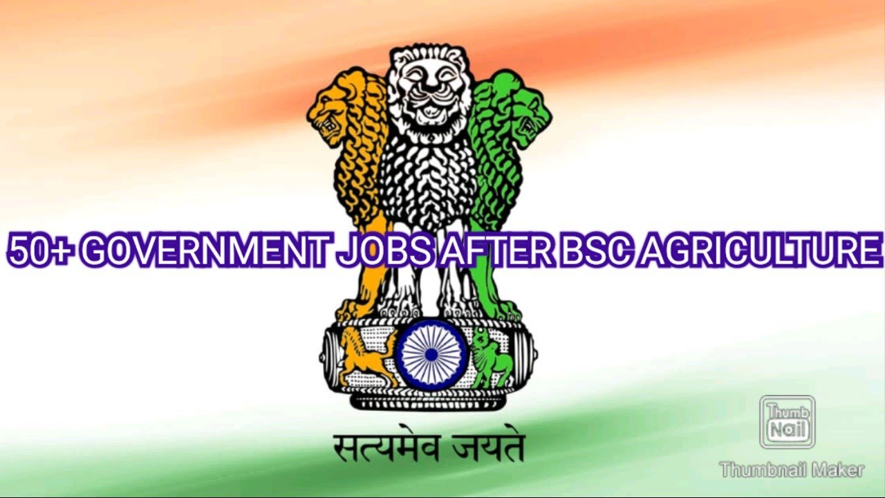 GOVERNMENT JOBS AFTER BSC AGRICULTURE SCOPE | JOBS SUBSCRIBE 🔔 STATE ...