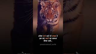 tiger attitude | motivation quotes || tiger attitude status in hindi || lion attitude video in hindi