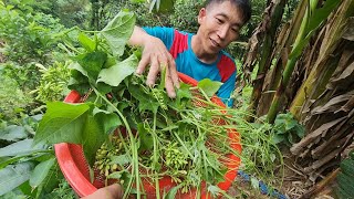 Mở đường Lũng Cáng xuyên lán Sính 1 chân, bữa cơm trưa A Páo đồi thông. Nguyễn Tất Mạnh