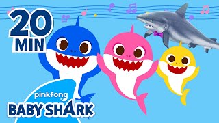 Sing along with Baby Shark! and a Real Shark?! | +Compilation | Song For Kids | Baby Shark Official