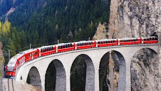 吉野友之 の 憧れのスイスフラワーハイキング、世界遺産アルブナ線とハイジの里マイエンフェルト　 #swissalps #おうちでスイス