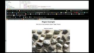 Explaining Expression Engine Pages Module | Quick-EE Tutorial