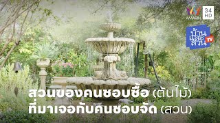 สวนของนักช้อปต้นไม้ที่ได้นักจัดสวนฝีมือดีเข้ามาช่วยจัดวางให้ลงตัว | บ้านและสวนทีวี