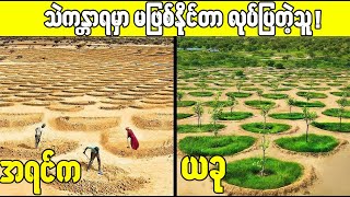ဆာဟာရသဲကန္တာရတောင် အပင်ပေါက်အောင်စိုက်နိုင်တဲ့ ဂျူးတိုရဲ့နည်းလမ်းများ!😱😱😱