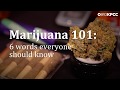 Marijuana 101: 6 words you need to know