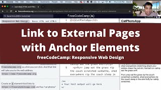 Link to External Pages with Anchor Elements (Basic HTML and HTML5) freeCodeCamp Tutorial