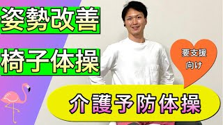 【施設、サロン、自主グループ向け】姿勢を良くする柔軟体操と体幹トレーニング