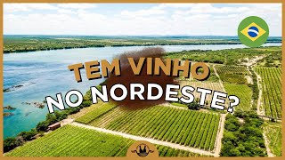 TUDO O QUE VOCÊ PRECISA SABER SOBRE OS VINHOS DO NORDESTE