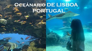 A visit to Oceánario de Lisboa | Finland to Portugal | Nepali Student in Finland | Holiday Trip