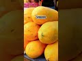 4 Increíbles Beneficios de Comer Papaya Que NO Conocías #SaludPapaya