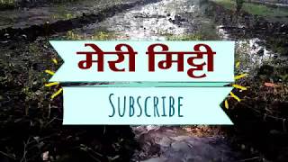 मेरी मिट्टी - Mitti Status Video | Kisan | Khet ki Mitti | Hindi Quotes on Farmer