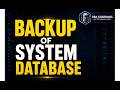 How to Take Backup of All System Databases in SQL Server | Complete DBA Guide