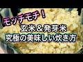 【玄米＆発芽米の美味しい炊き方】もう寝かせる必要なし！究極のもっちもちごはんにする方法！酵素玄米を超える最強ブレンドごはんもご紹介