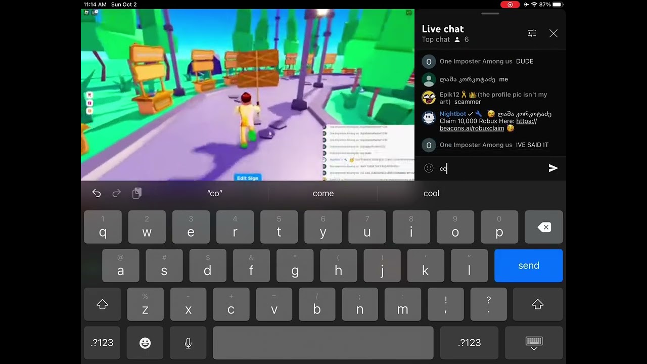 Scammer Caught In 4k Youtube