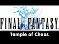 Final Fantasy - Temple of Chaos - 22