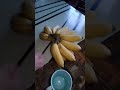 Pisang Jemput Adui Aku Mau Lagiii😋😋