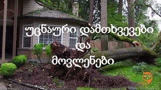 საინტერესო ისტორიები / უცნაური მოვლენები / დამთხვევები
