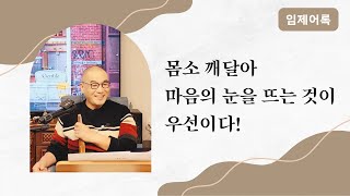 부산 해운대 정기법회  임제어록  망식이 윤회의 주체가 되어 생사가 갈라지고 흐르게 된다..  #깨달음 #선공부 #마음공부