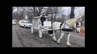 Funeral Carriage Procession Cotton Funeral Home Newark Evergreen Cemetery Hillside NJ March 25 2021
