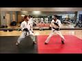 Tae Kwon Do vs. Shotokan (Round 2)