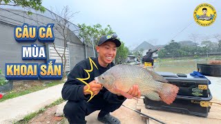 Câu Cá Mùa Khoai Sắn: Đêm Lạnh Ngày Nắng?