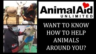 Learn how to care for animals with Animal Aid unlimited | ABHIYAN | EPISODE 14
