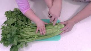 Osmosis Experiment with Celery