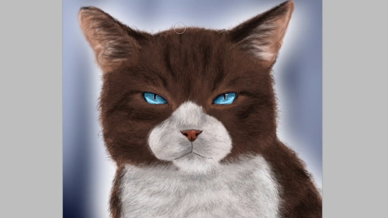 Hawkfrost Speedpaint Youtube