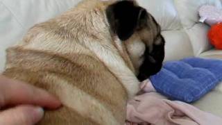 DSCF5641.AVI