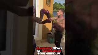 Island Boys Shows Off Boxing Skills