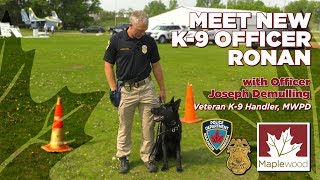 Meet MWPD's New K-9 Officer 'Ronan'