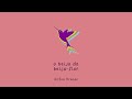 5 - Ailton Krenak - O BEIJO DO BEIJA-FLOR