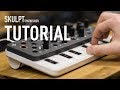 Modal Electronics SKULPT synthesiser Walk Through Tutorial