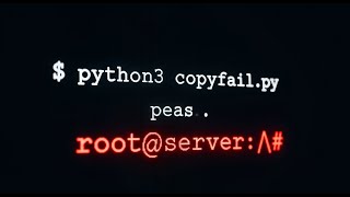732 Bytes to Root: The Linux Bug That Affects Every Server on Earth