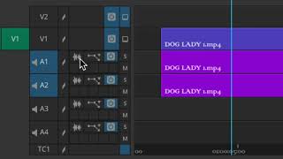 AVID AUDIO PT 1