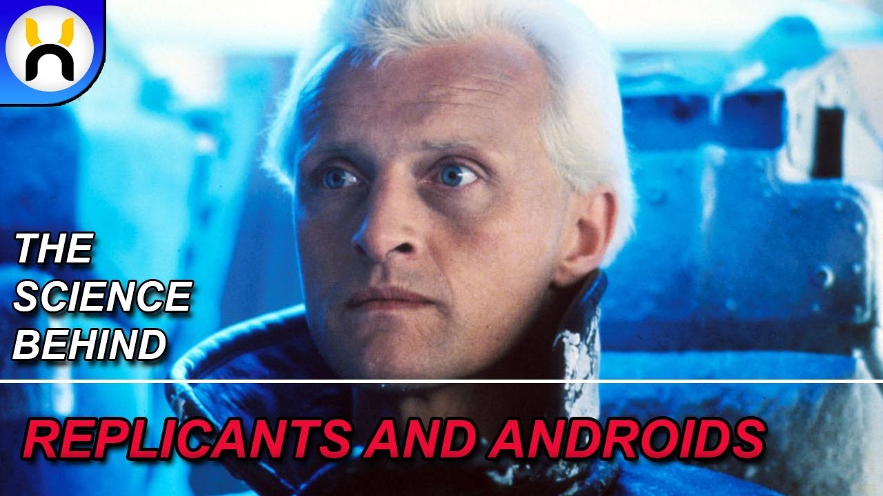 How Do Replicants Function In Blade Runner The Hybrid Theory Youtube