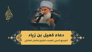 دعاء كميل - المرجع الديني الشيخ فاضل المالكي دام ظله - Dua Kumay - Ayatollah Sheikh Fadel Al-Maliki