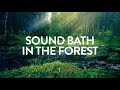 Sound Bath in the Forest 432Hz | Serene Forest Accompanied by Gentle Ambient Tones