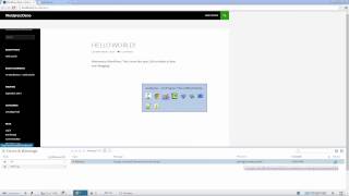 Debugging in PhpStorm Using Zend Server