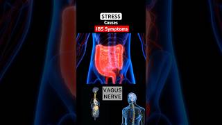 Stress Causes IBS Symptoms #shorts #guthealth #youtubeshorts