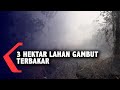 Sebanyak 3 Hektar Lahan Gambut di Rasau Jaya Terbakar