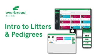Everbreed Rabbitry Software's Intro to Rabbit Litters and Rabbit Pedigrees