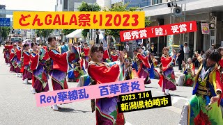 【高画質】Rey華繚乱、優秀賞「睦」受賞演舞！・どんGALA祭り2023（2023.7.16）