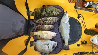 Kayak Fishing Tour With Lucky Strike! #006